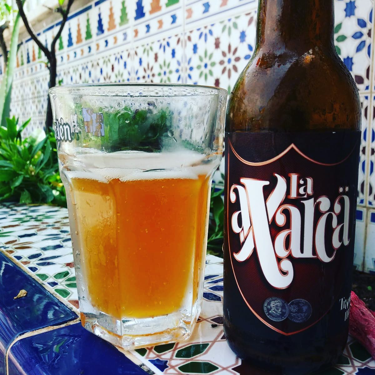 You are currently viewing La Axarca Tropical Craft Beer – Frigiliana