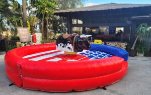 Read more about the article Hire & Buy Bouncy Castles & Children’s Attractions!